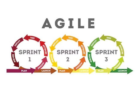 Learn How to Create an Agile Environment